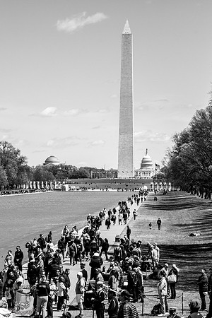 Reflecting Pool