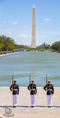 Marines