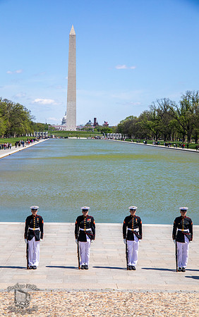Marine's Drill