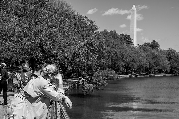 By the Tidal Basin