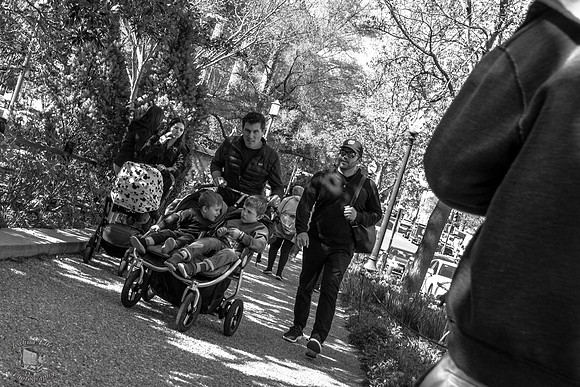 Stroller