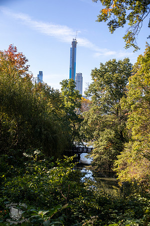 Central Park