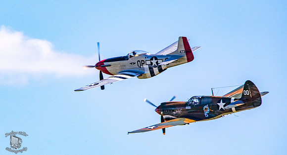 Mustang & Tiger