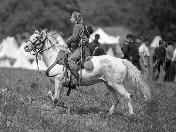 White Horse