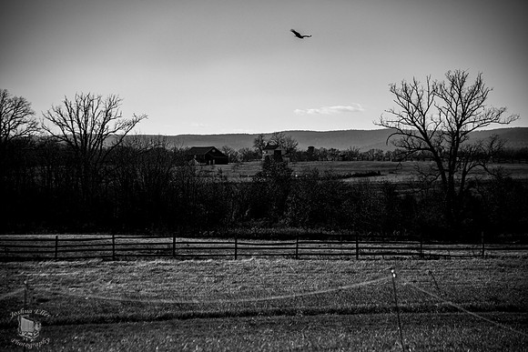 Gettysburg Battlefield