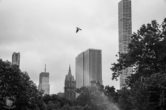 Skyline