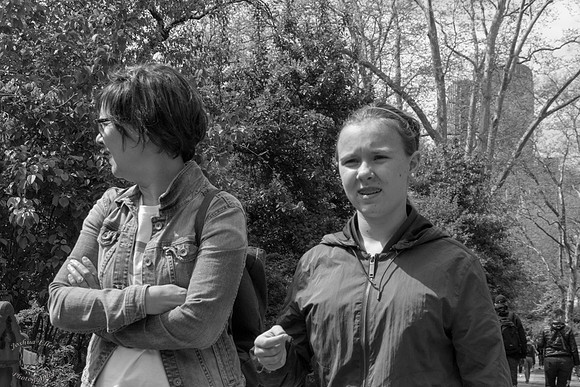 In the Park