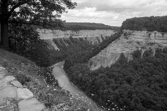 Genesee River