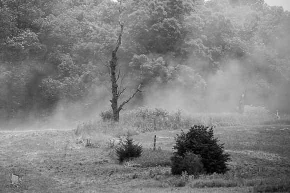 Fog of War