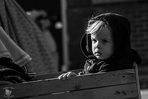 In the Wagon
