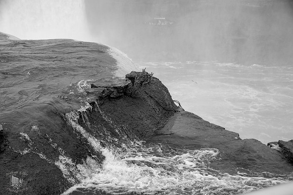 Horseshoefalls