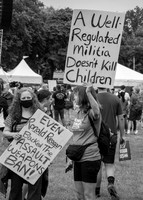 Well Regulated Militia