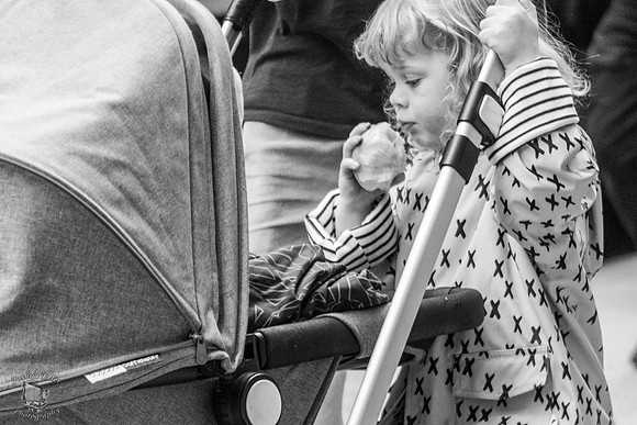 Stroller