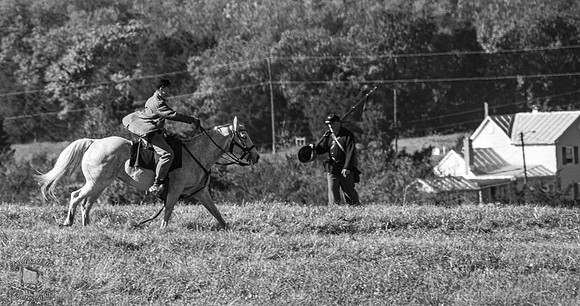 The Horseman