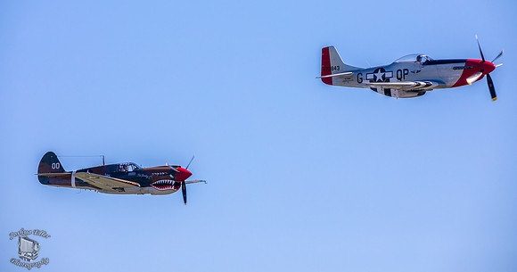 Tiger & Mustang