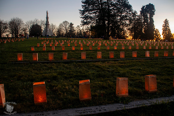 Remebrance Day Illumination