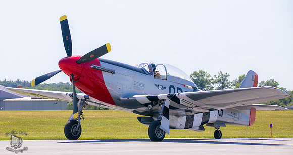 Red Tail