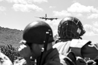 Fifi Landing