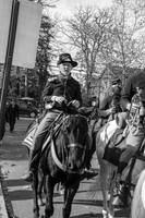 Cavalry